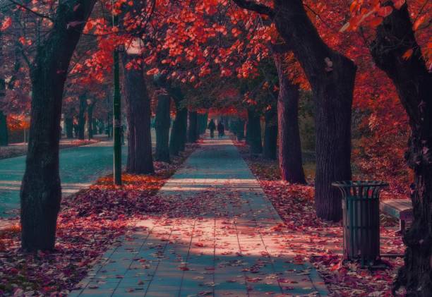 istock Road to autumn 1466107739