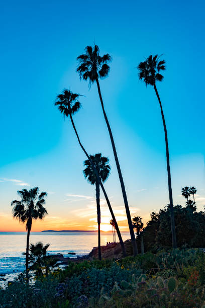 istock A view of Laguna Beach sunset at the beach. 1466107801