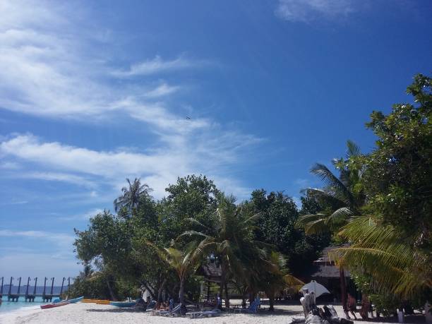 インド洋のモルディブ諸島 ヤシの木と白い砂浜とリラクゼーション - clear sky water sports and fitness yacht ストックフォトと画像
