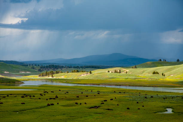 Spring in Yellowstone National Park