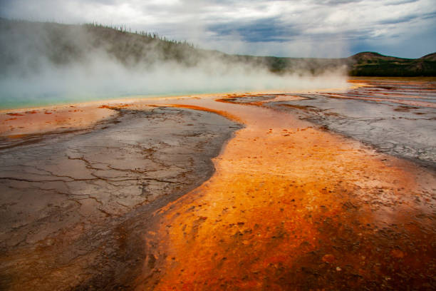istock Geyser in Yellowstone National Park 1466112776