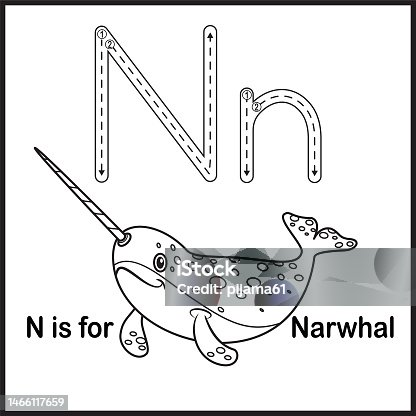 istock Flashcard letter N is for Narwhal vector Illustration 1466117659