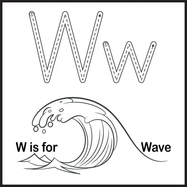 Vector illustration of Flashcard letter W is for wave
vector Illustration