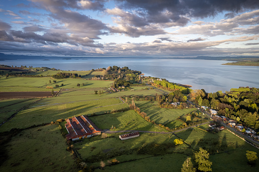 Aerial view of meadows and agricultural fields near to Futrono in Los Rios region, southern Chile