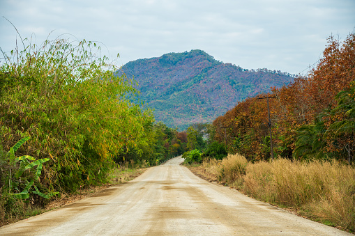 View of dirt road in countryside with blue sky.