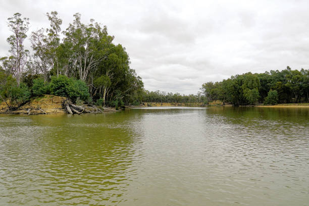 istock Barmah, Victoria, Australia 1466139919