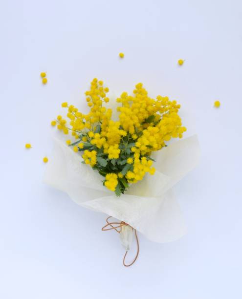 istock mimosa bouquet on the table. 1466144431