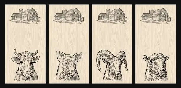 Vector illustration of Pig, cow, sheep and goat heads isolated on wood background.