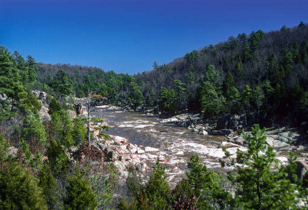 istock Millstream Gardens Conservation Area - Wide View Horizontal - 1991 1466170169