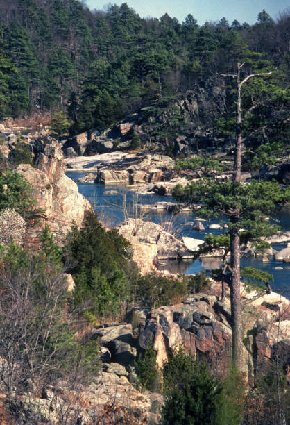 istock Millstream Gardens Conservation Area - Vertical - 1982 1466171667