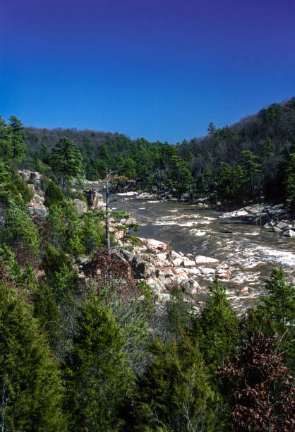 istock Millstream Gardens Conservation Area - Wide View Vertical - 1991 1466172246