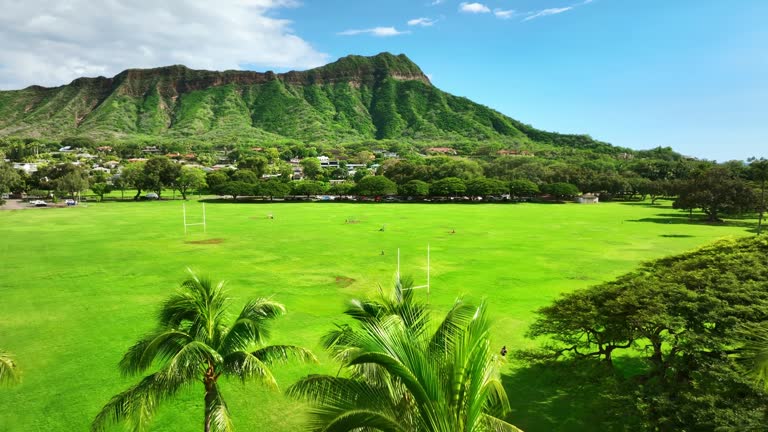 Drone Waikiki Hawaii. Tropical nature. Aerial view palm trees in Hawaii. Honolulu popular tourism destination on Oahu.