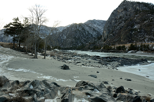 Sandy and rocky shore with lonely trees on the banks of a beautiful frozen river surrounded by snow-capped mountains on a winter evening. Katun river, Altai, Siberia, Russia.