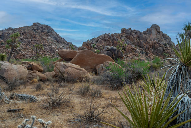 istock Rocks in the Desert 1466200273