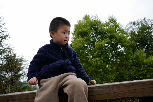child sitting on a bench in the park looking at the scenery