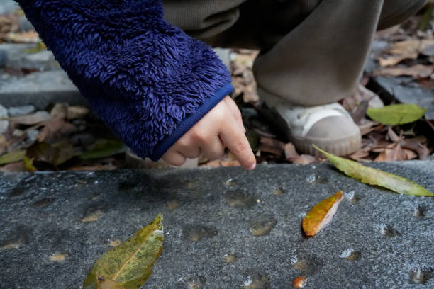 The child crouched down to pick up leaves