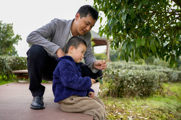 istock Dad is teaching his son to see the growth lines inside the leaves 1466209830