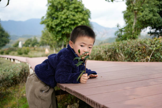 child lying on the boardwalk and playing with branches