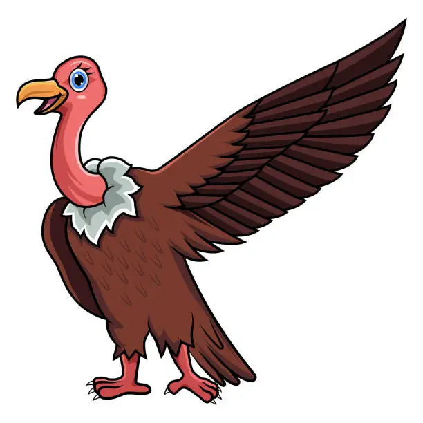 Vector illustration of vulture bird line art