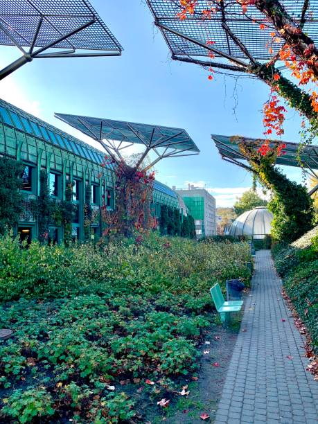 istock Cultivated garden with solar panels during a sunny day 1466236158