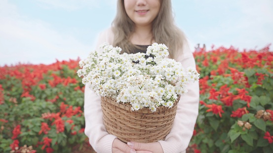 Smiling face of woman walking and holding a basket with white daisy. The background is a field of red flowers