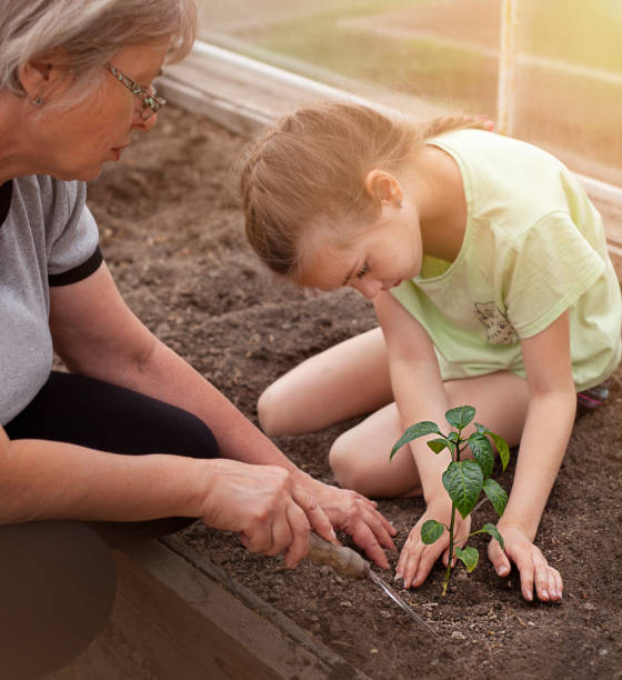 istock child with grandmother planting plants 1466249062