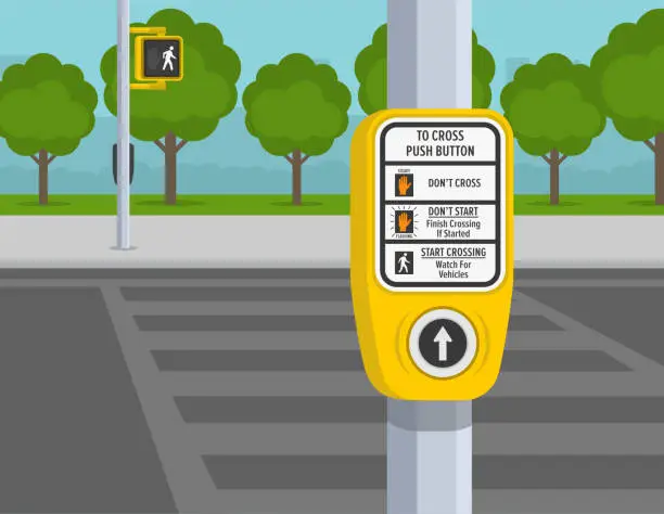 Vector illustration of Pedestrian walk traffic light switch, street crossing instructions and crosswalk.