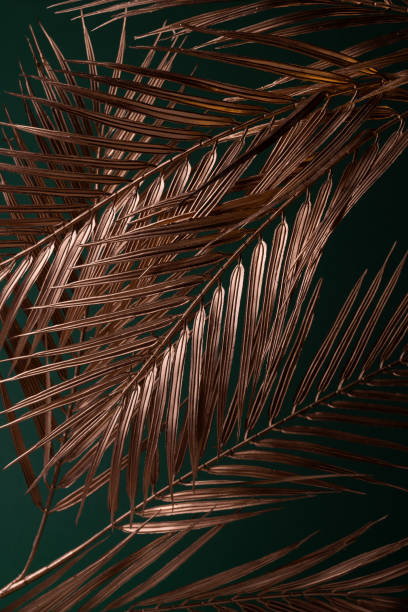 istock Golden Date Palm Tree Branches Against Emerald Color Background. Luxury Decorative Poster Print or Banner Background. 1466267641
