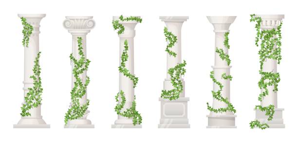 Ivy columns. Marble pillars or ancient stone column with floral vines, green leaf for wedding decoration greek building trellis roman antique podium, ingenious vector illustration Ivy columns. Marble pillars or ancient stone column with floral vines, green leaf for wedding decoration greek building trellis roman antique podium, vector illustration of marble pillar architecture natural column stock illustrations