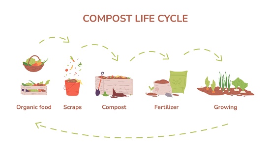 Compost cycle. Farm garden composting process, biology recycle organic food in agriculture box, biodegradable waste natural scrap bin conservation vector illustration of compost agriculture organic