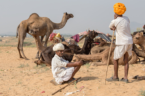 PUSHKAR, INDIA - OCTOBER 27, 2014: Unidentified Indian men attended the annual Pushkar Camel Mela. This fair is the largest camel trading fair in the world.