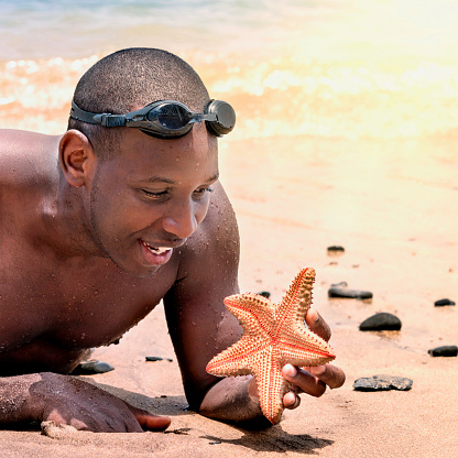 Man finding a starfish (echinoderm) on the sand at sunset, photo
