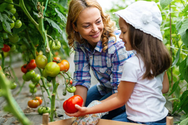 famille heureuse travaillant dans une serre biologique. femme et enfant cultivant des plantes bio dans le jardin de la ferme. - senior adult gardening freshness recreational pursuit photos et images de collection