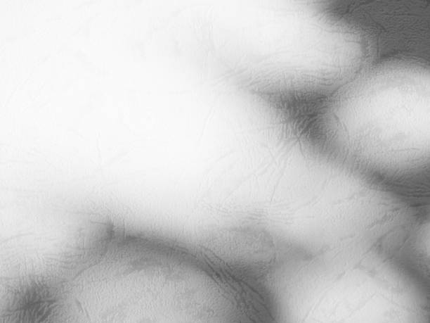 istock Shadow Spring on Wall Background,Abstract Overlay Shady Soft Exterior Leaves Tree,Nature Overlay from Window Building,Texture vintage Sun Light Plant Leaf Summer on Floor Grey Paint Room 1466289258