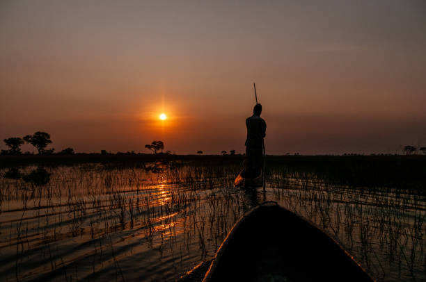 viagem de mokoro no delta do okavango - makoro - fotografias e filmes do acervo