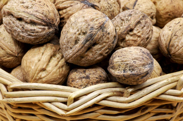 istock organic shelled walnuts in a wicker basket 1466293706