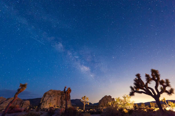 istock The Milky Way over Joshua Tree National Park 1466296796