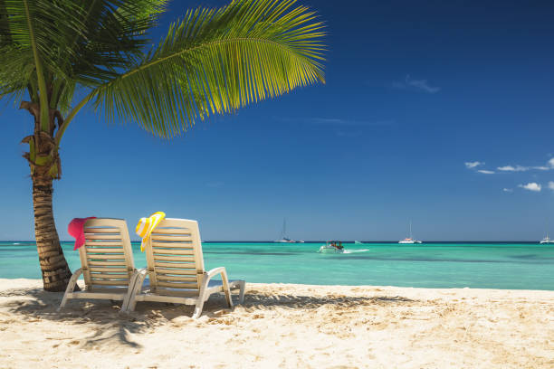 istock Palm tree and tropical island beach with lounge sun chairs 1466300195