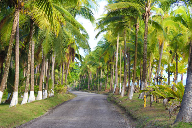 istock Gravel road 1466301104