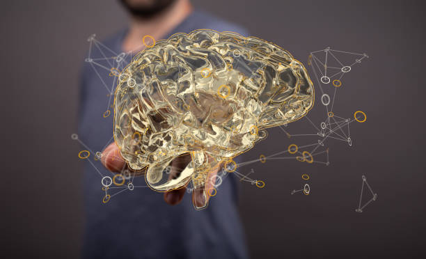 istock Closeup of a man pointing into 3D rendered human brain anatomical model 1466302439