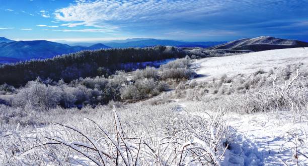 istock Blue Ridge Mountains in Snow 1466302912