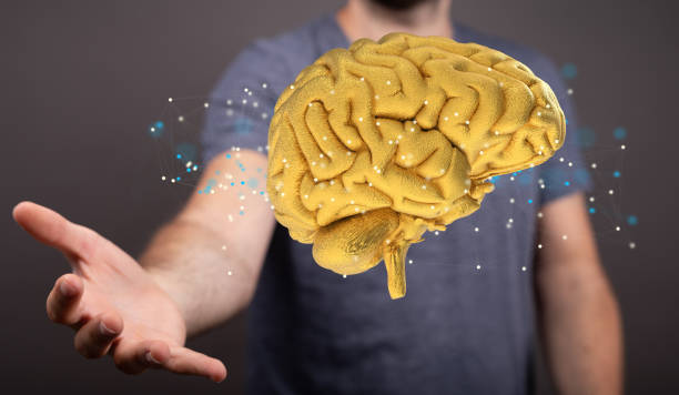 istock Closeup of 3D rendered human brain anatomical model hovering in man’s hand 1466302951