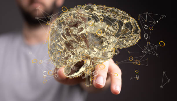 istock Closeup of a man pointing into 3D rendered human brain anatomical model 1466303171