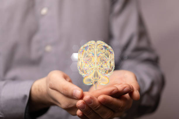 istock Closeup of 3D rendered human brain anatomical model hovering in man hands 1466303179