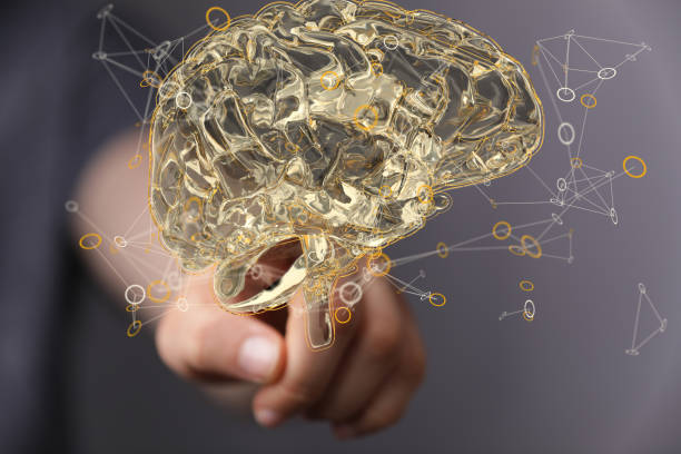 istock Closeup of a man pointing into 3D rendered human brain anatomical model 1466303211