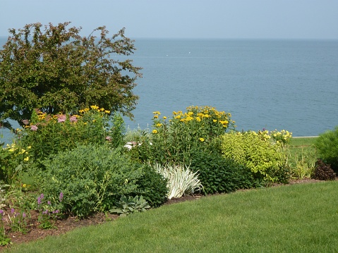 The view of the blue sea with green vegetation on the shore.