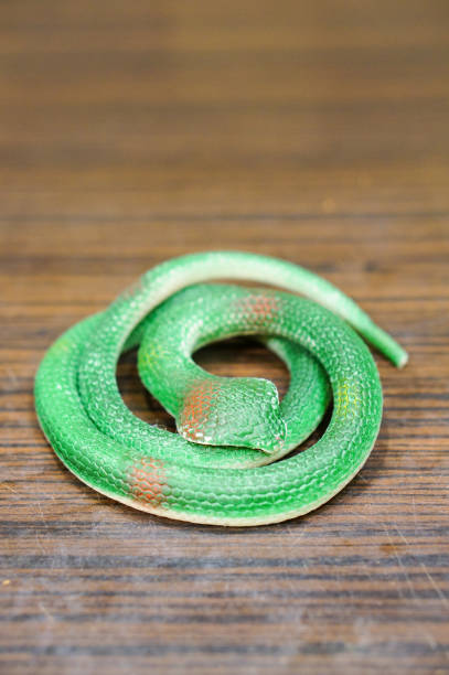 istock Green plastic artificial snake lying on a wooden table 1466307897