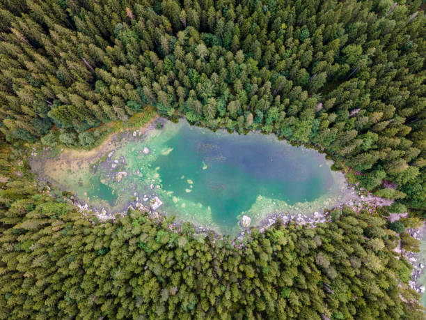 istock Bavarian Frillensee lake from Top during summer 1466308981