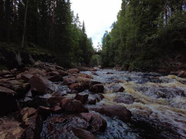 Low angle view rocky riverside, flowing water over the brown boulders in untouched nature of scandinavia. Relaxing travel in national park in Hagfors