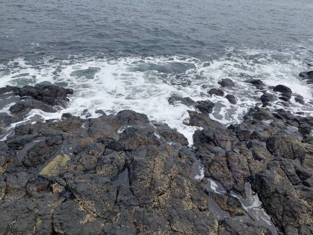 istock Seascape with waves washing dry rock on coastline under gray cloudy sky 1466311510